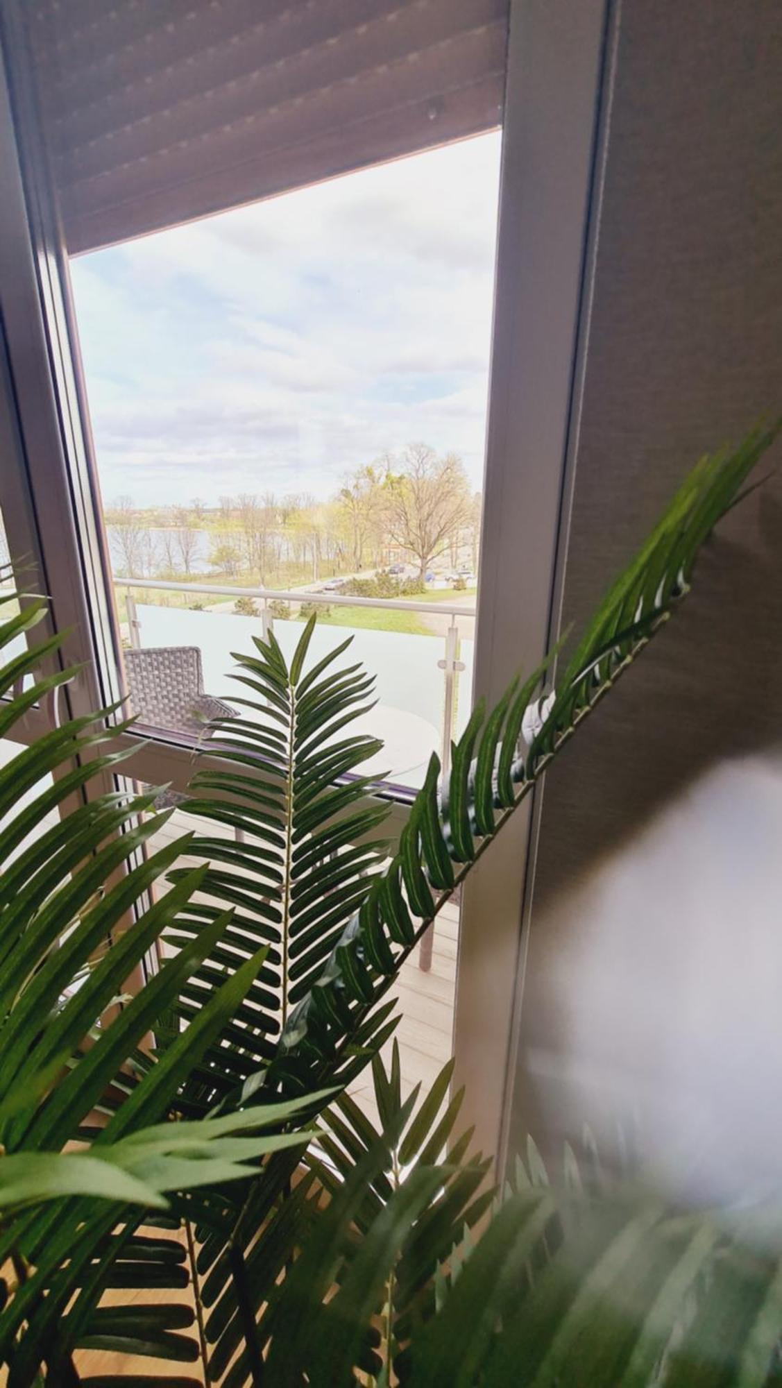 Apartament 31 Z Sauna Rowery, Spacery W Dolinie Baryczy - 5D Apartamenty Milicz Zewnętrze zdjęcie